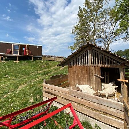 Maringotka Na Samote Na Kozi Farme Hotel Pobezovice Luaran gambar