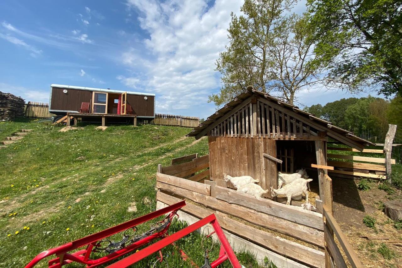 Maringotka Na Samote Na Kozi Farme Hotel Pobezovice Luaran gambar