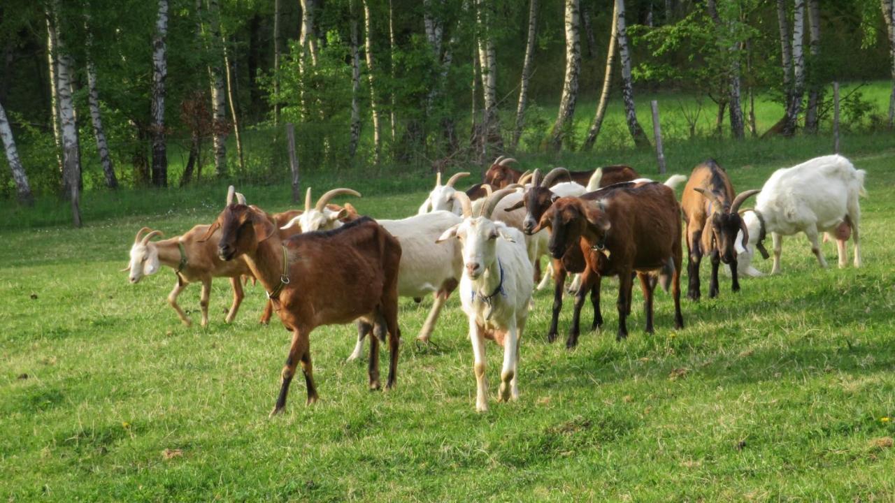 Maringotka Na Samote Na Kozi Farme Hotel Pobezovice Luaran gambar